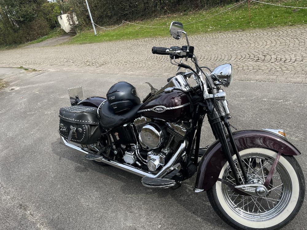 Motorrad verkaufen Harley-Davidson FLSTSC Softail Springer Ankauf